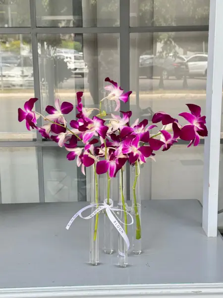 ARRANJO DE ORQUÍDEAS DENPHAL EM VASINHO DE VIDRO TUBOS