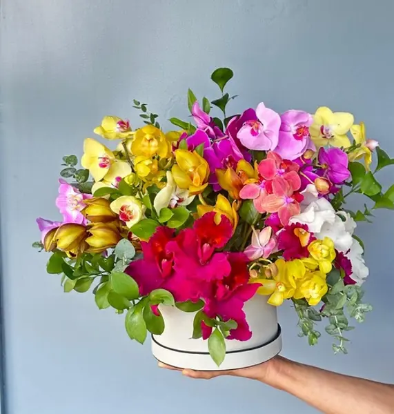 ARRANJO EM CAIXA M COM ORQUÍDEAS DE CORTE COLORIDAS