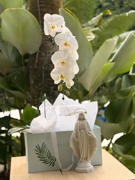 ORQUÍDEA CASCATA E IMAGEM EM PÓ DE MÁRMORE