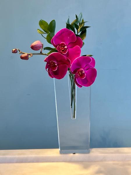  ORQUÍDEAS EM VASO DE ACRÍLICO.